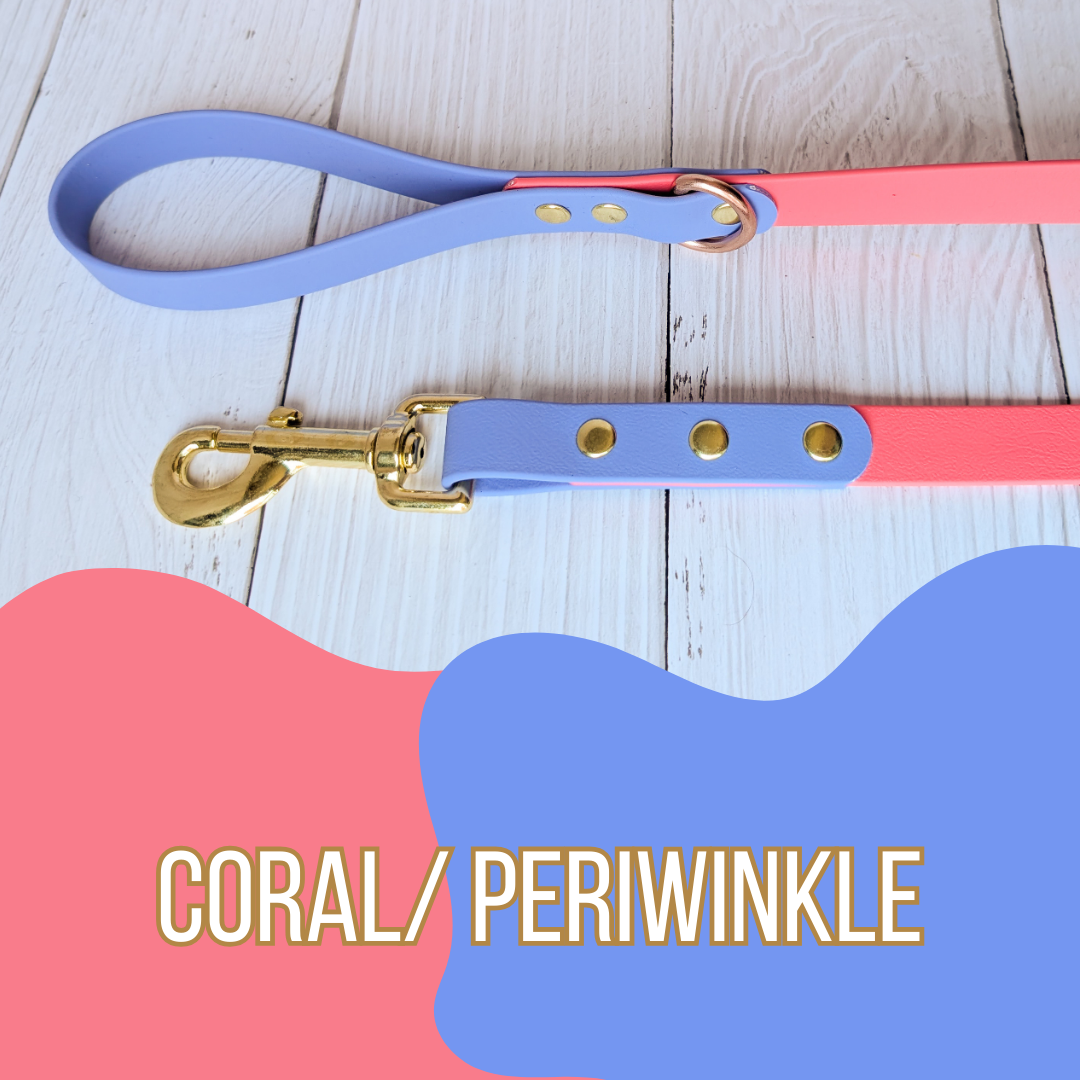 Dual Tone Waterproof Dog Leash