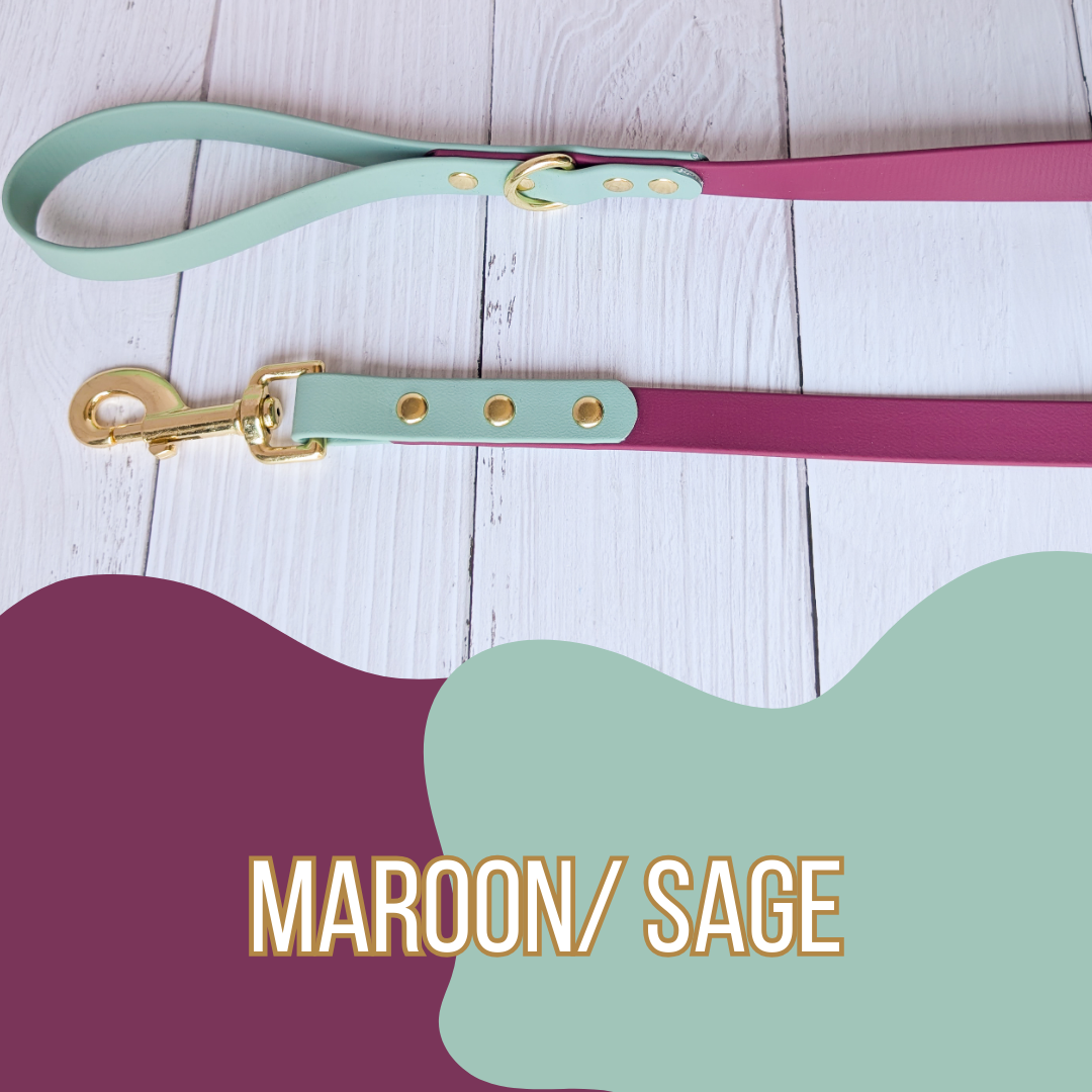 Dual Tone Waterproof Dog Leash