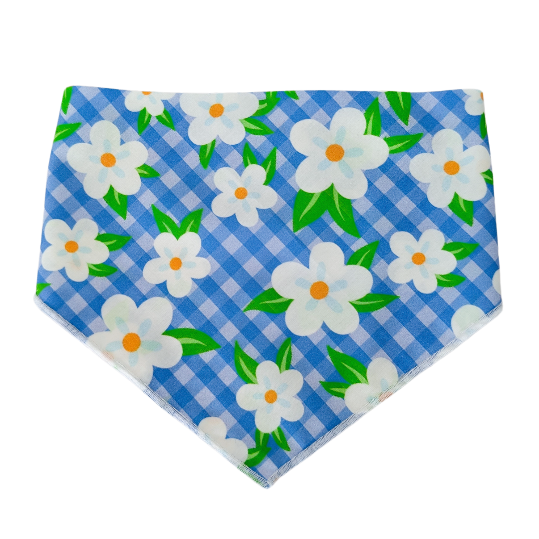 Summer Daisies