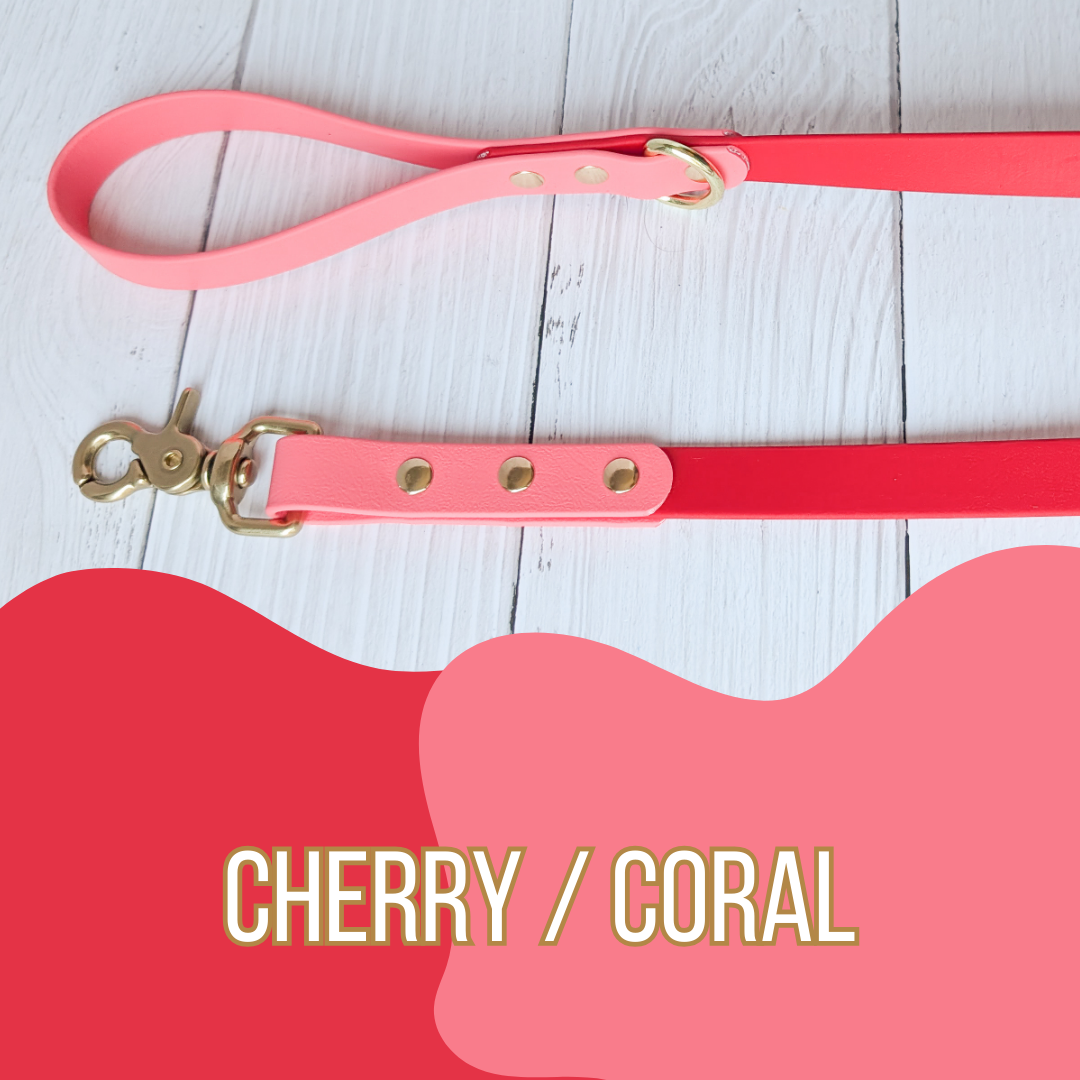 Dual Tone Waterproof Dog Leash