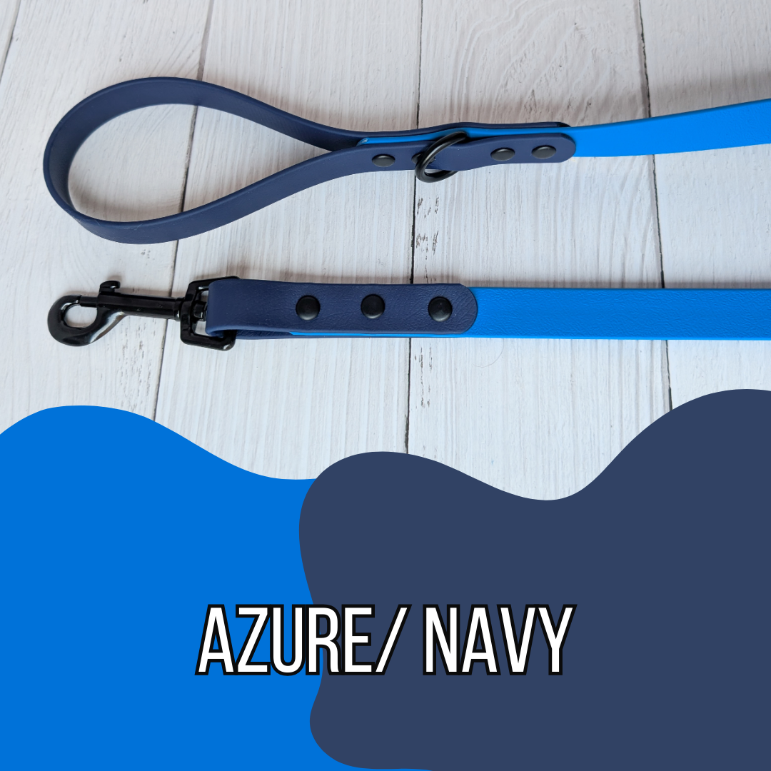 Dual Tone Waterproof Dog Leash