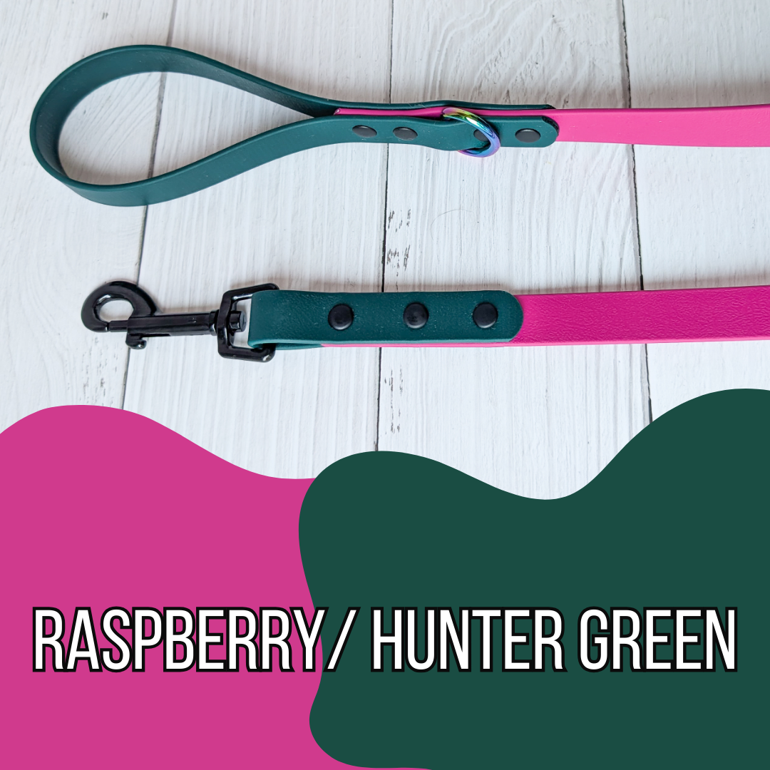 Dual Tone Waterproof Dog Leash