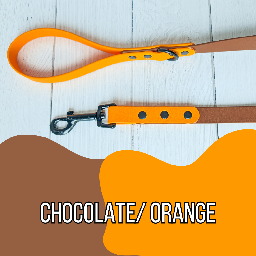 Dual Tone Waterproof Dog Leash