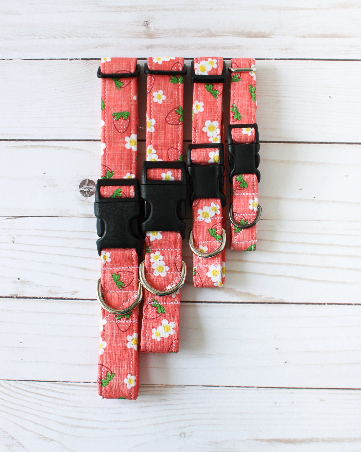 Strawberry Sorbet Dog Collar