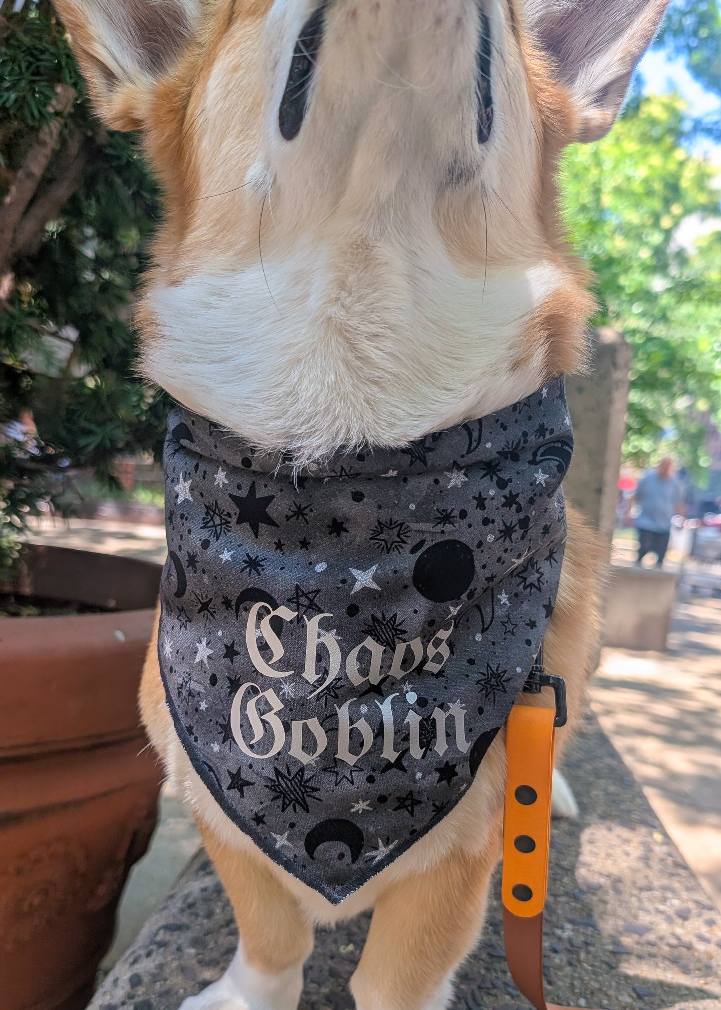 Chaos Goblin Space