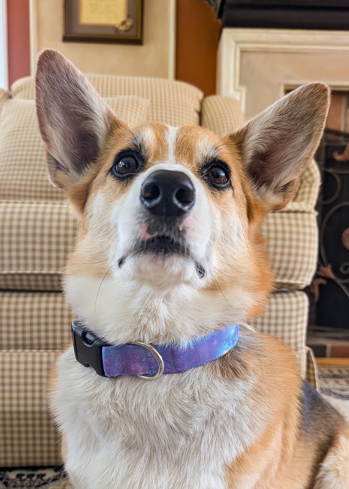 Galactic Unicorn Dog Collar