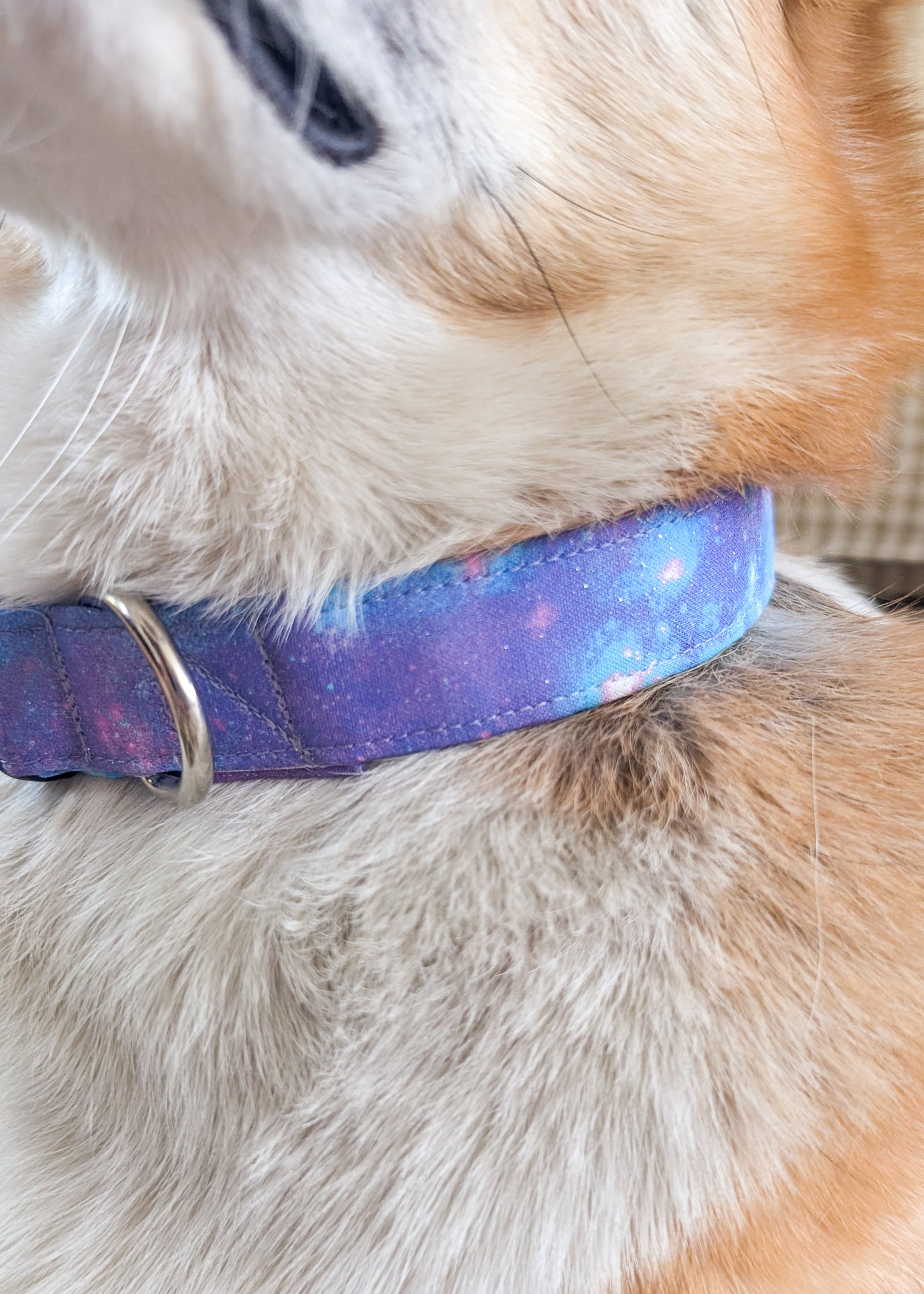 Galactic Unicorn Dog Collar