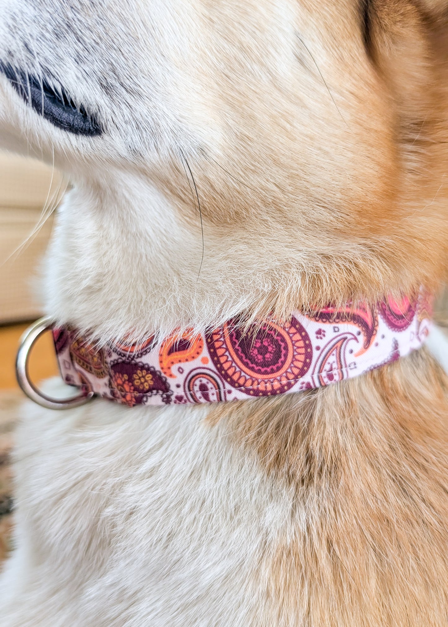 Pink Paw Paisley Dog Collar