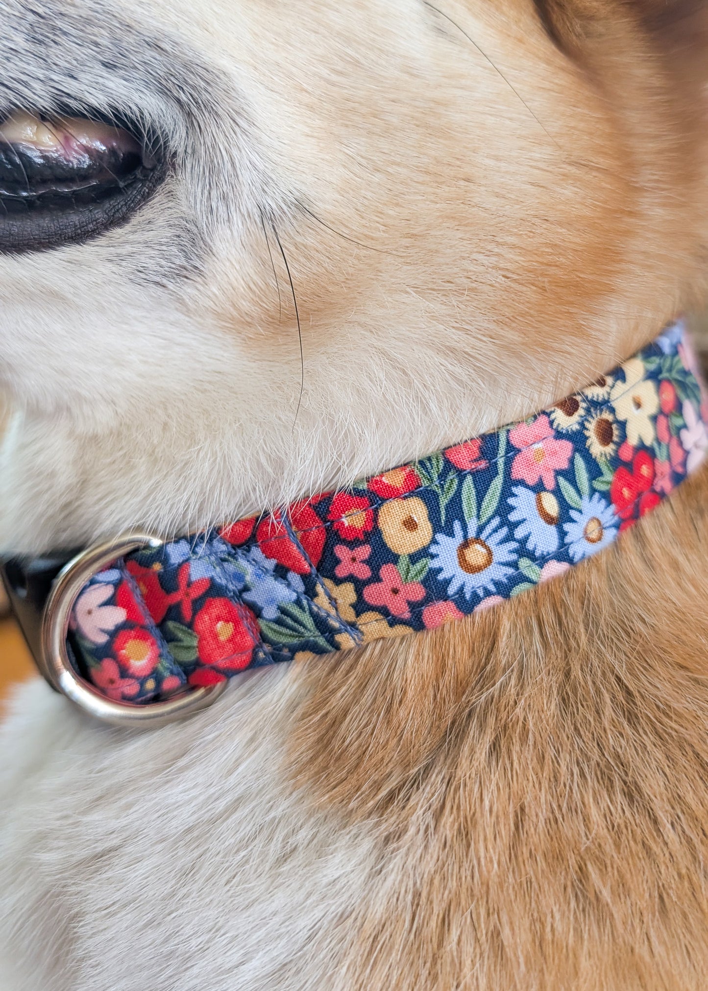 Midnight Garden Dog Collar