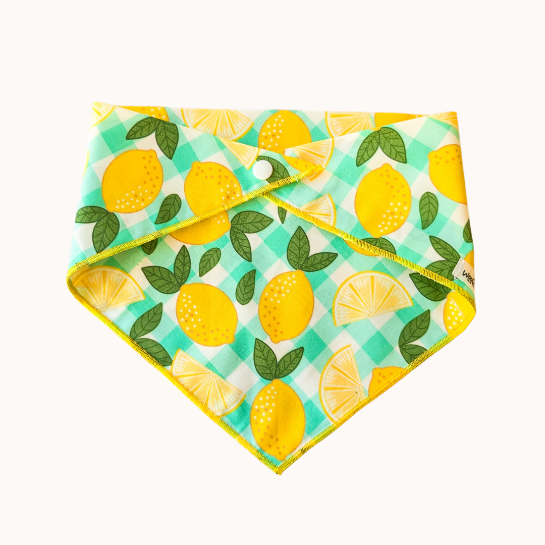 Lemonade