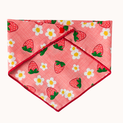 Strawberry Fields