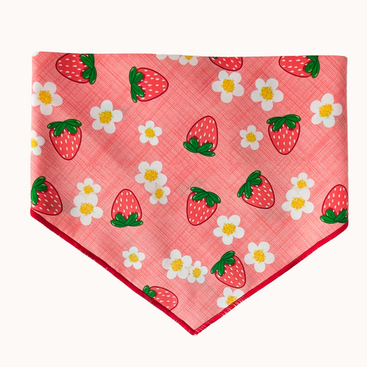 Strawberry Fields