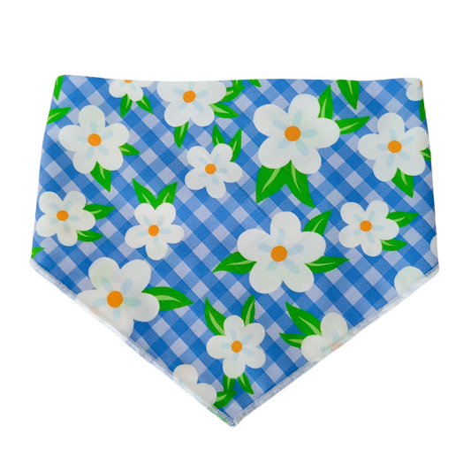 Summer Daisies