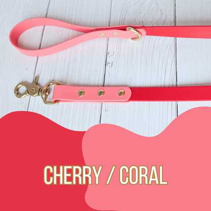 Dual Tone Waterproof Dog Leash