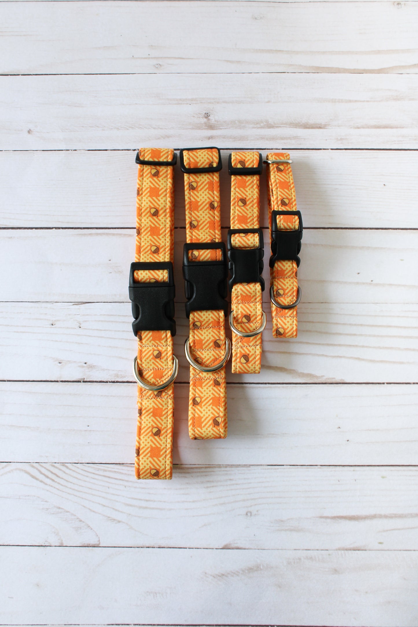 Acorns Dog Collar