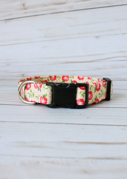 Apple Picking Dog Collar