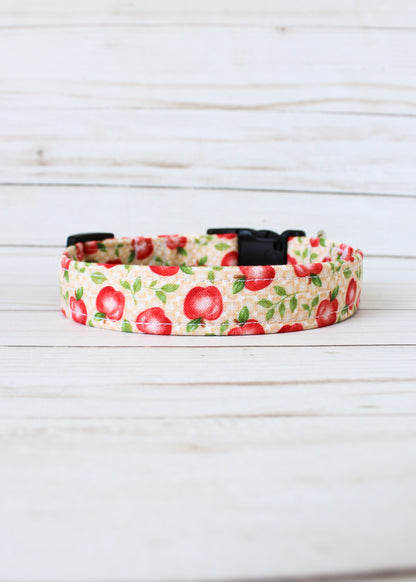 Apple Picking Dog Collar