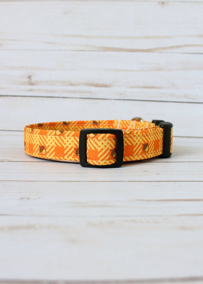 Acorns Dog Collar