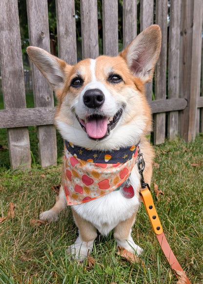 Fall Weekend Fun REVERSIBLE