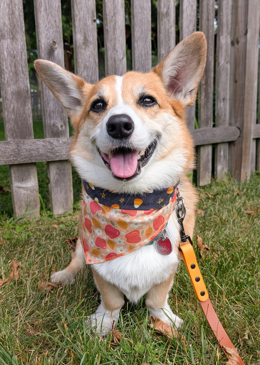 Fall Weekend Fun REVERSIBLE