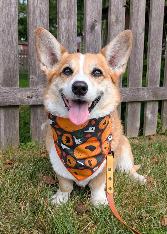 Spooky Patch