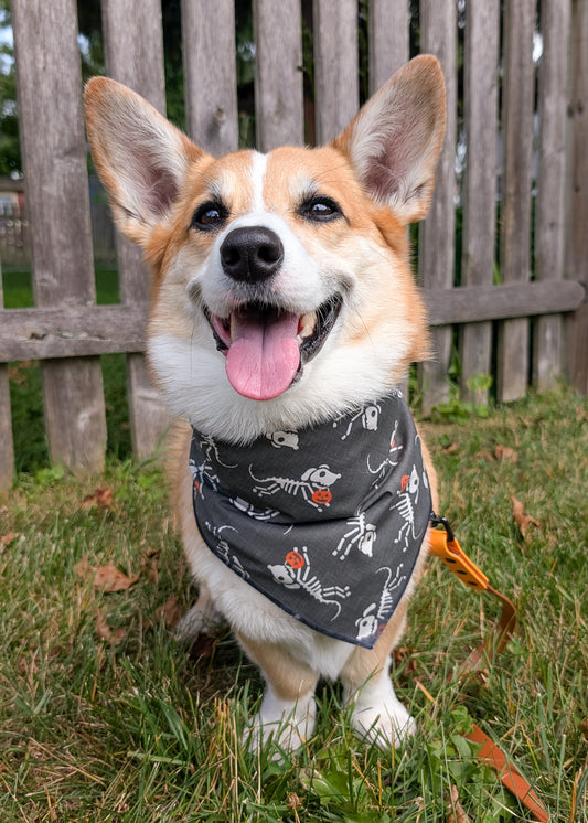Happy Skelepup