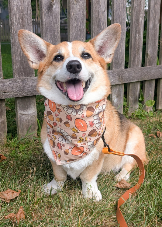 Fall Games