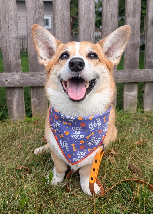 Lick or Treat