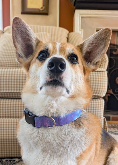 Galactic Unicorn Dog Collar