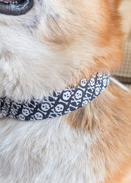 Skull and Crossbones Dog Collar