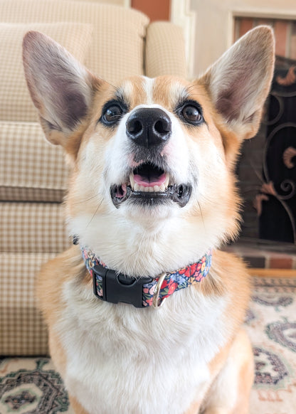 Midnight Garden Dog Collar