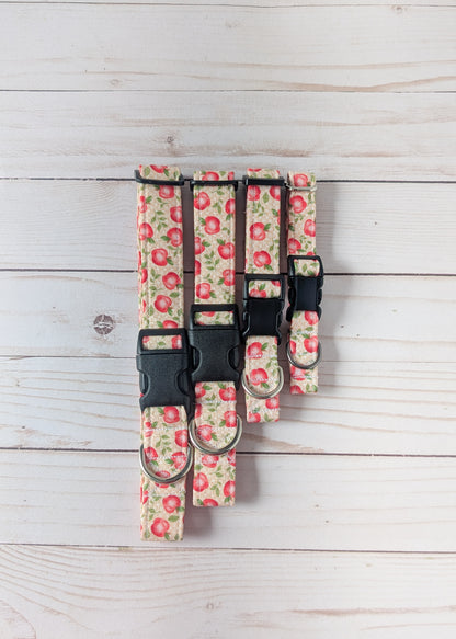 Apple Picking Dog Collar