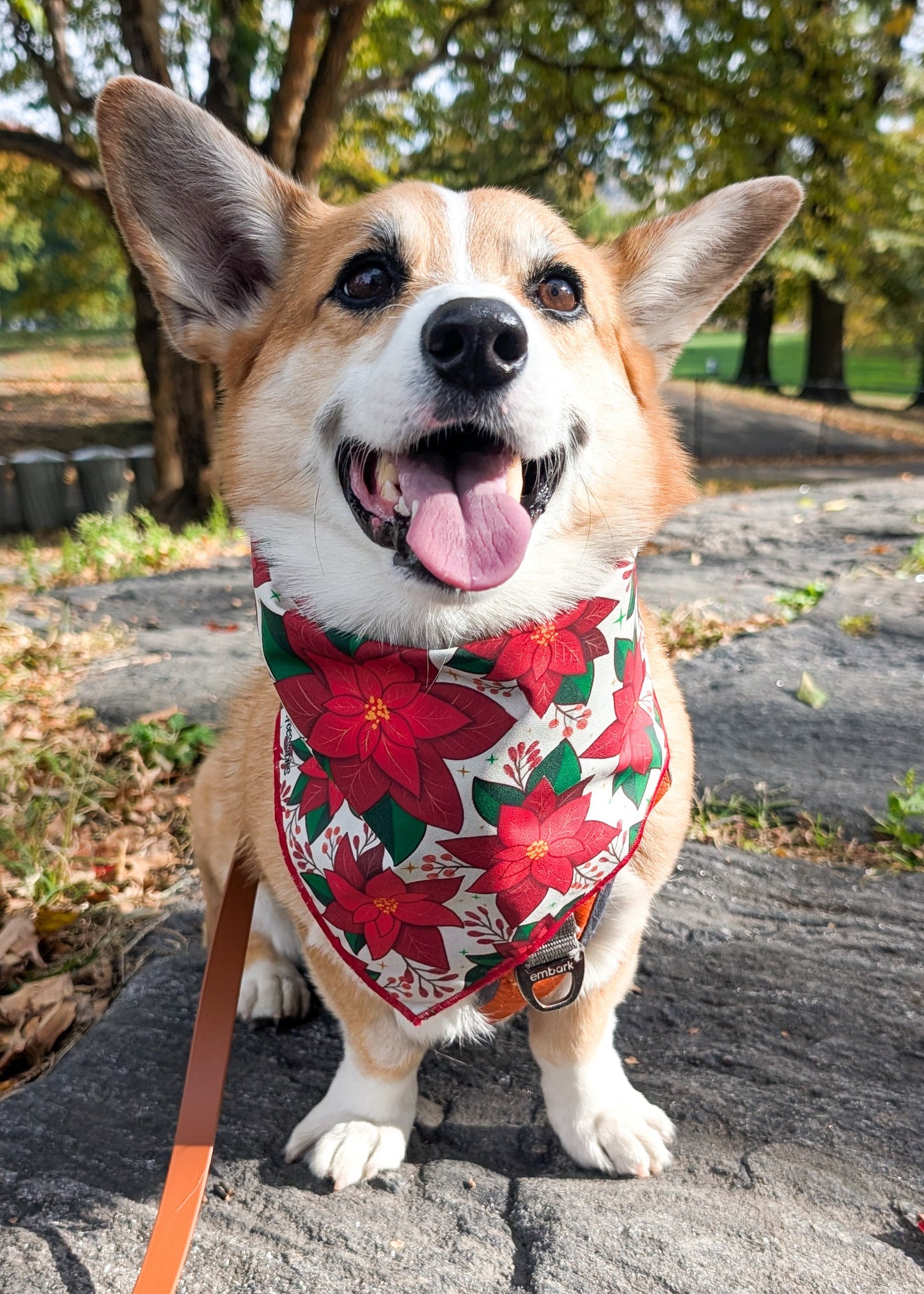 Pointy Poinsettia Christmas Dog Bandana