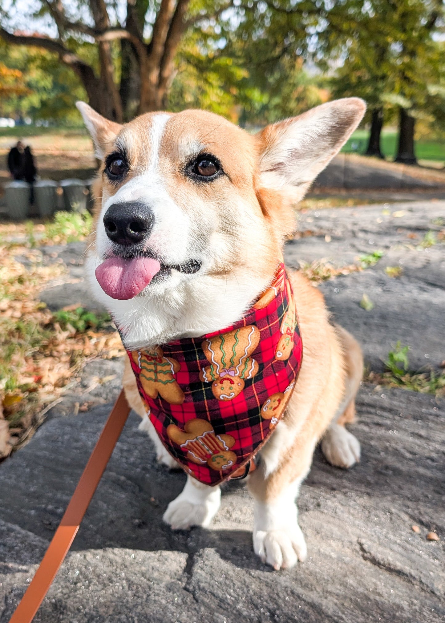 Gingerbread Bark Plaid Christmas Dog Bandana