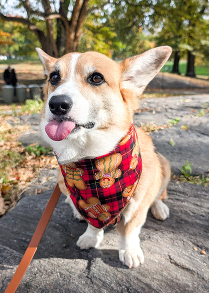 Gingerbread Bark Plaid Christmas Dog Bandana
