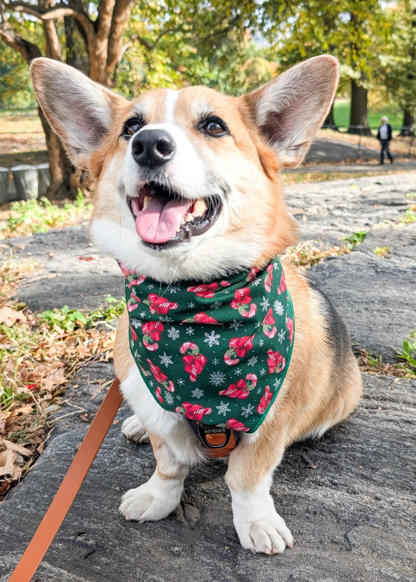 Sparkle Canes Christmas Dog Bandana