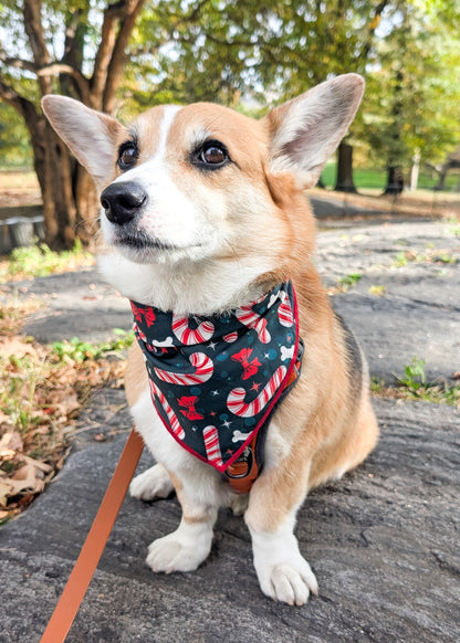 Oh So Stripey Candy Canes Reversible Christmas Dog Bandana