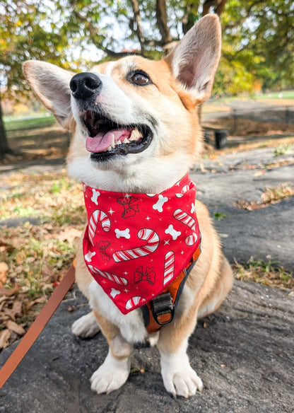 Oh So Stripey Candy Canes Reversible Christmas Dog Bandana