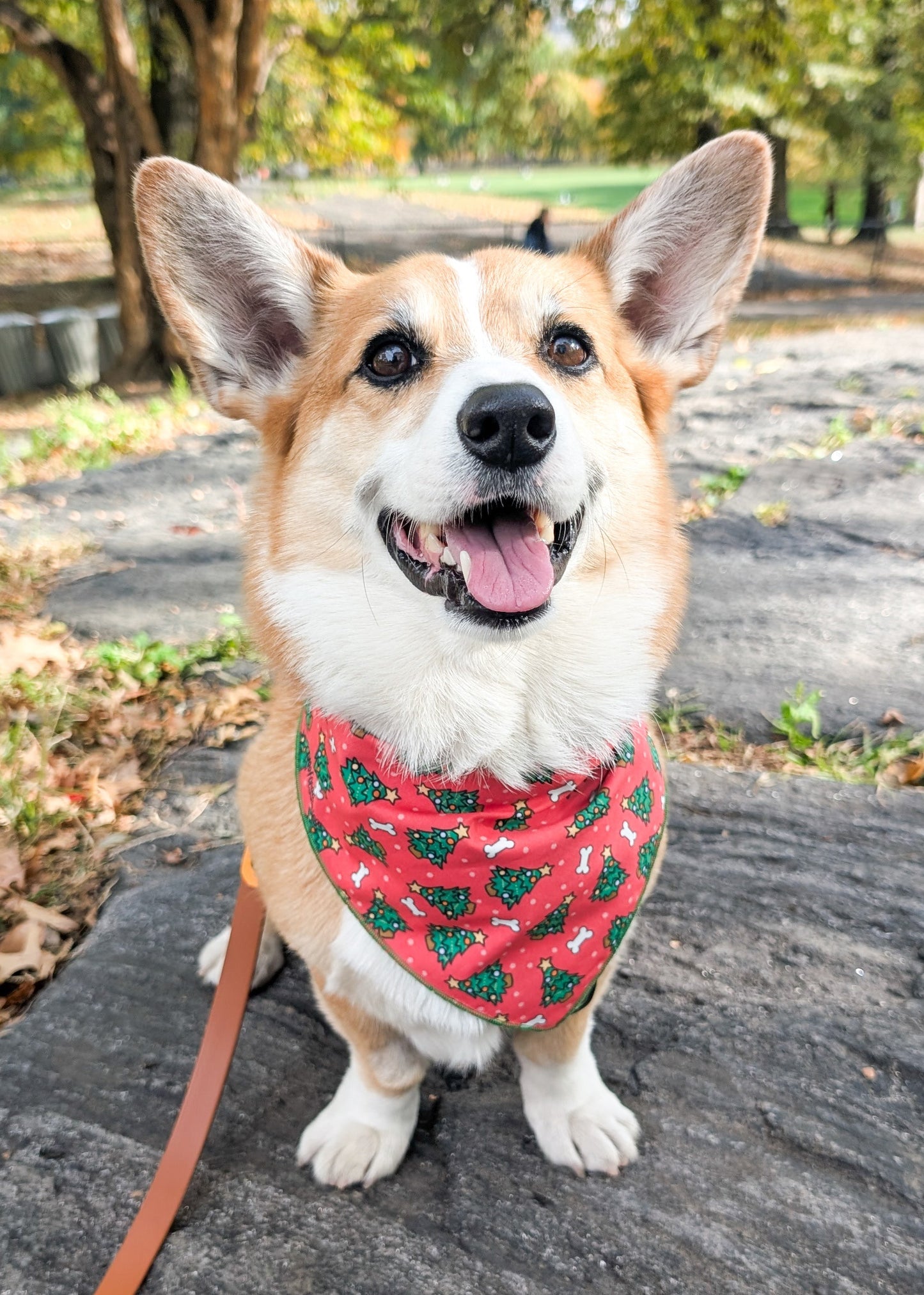 Under the Tree Reversible Christmas Dog Bandana