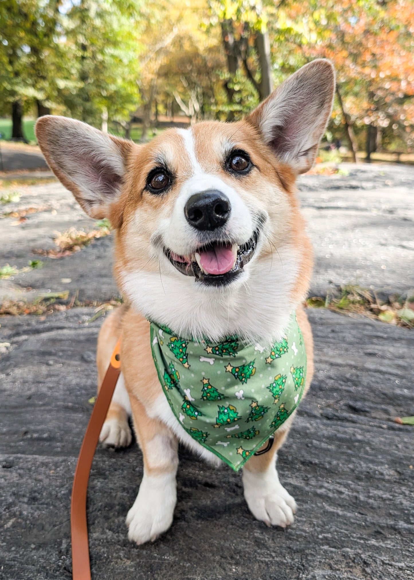 Under the Tree Reversible Christmas Dog Bandana