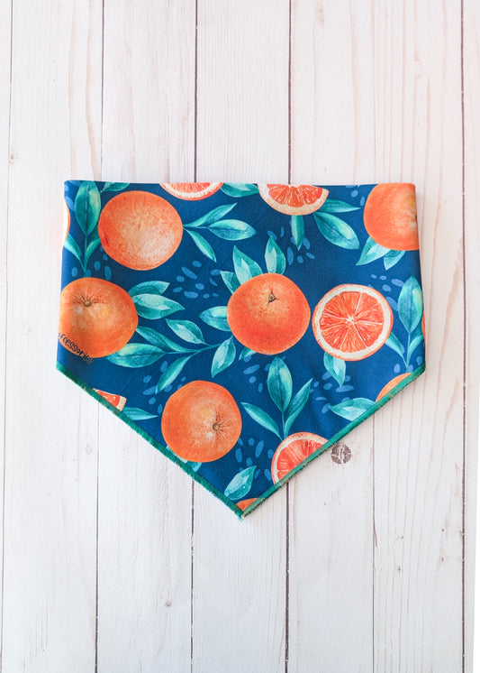 Dog bandana with orange and grapefruit pattern on a wooden surface