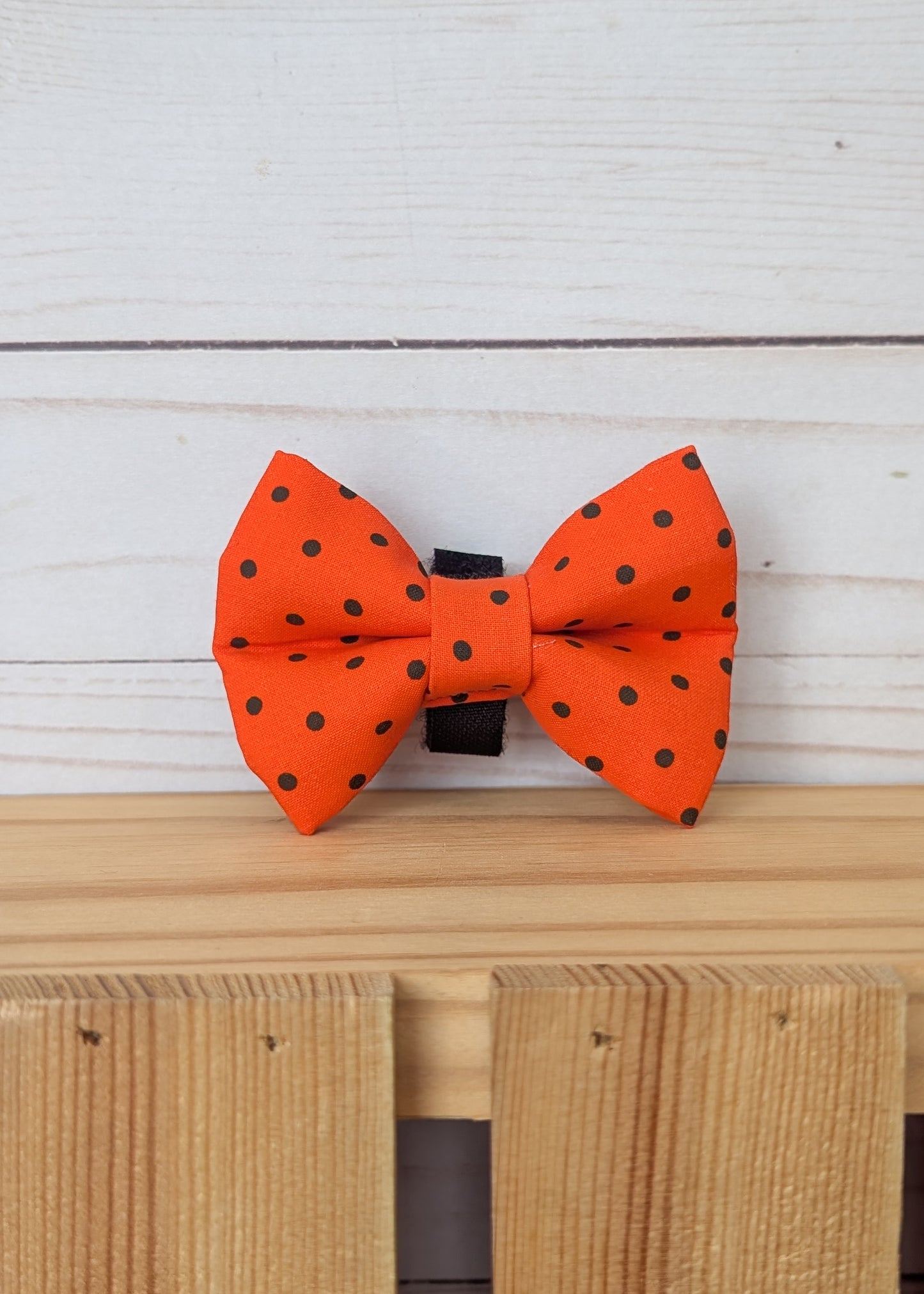 An orange fabric bow tie with black polka dots, displayed on a light wooden surface against a white wood plank background.