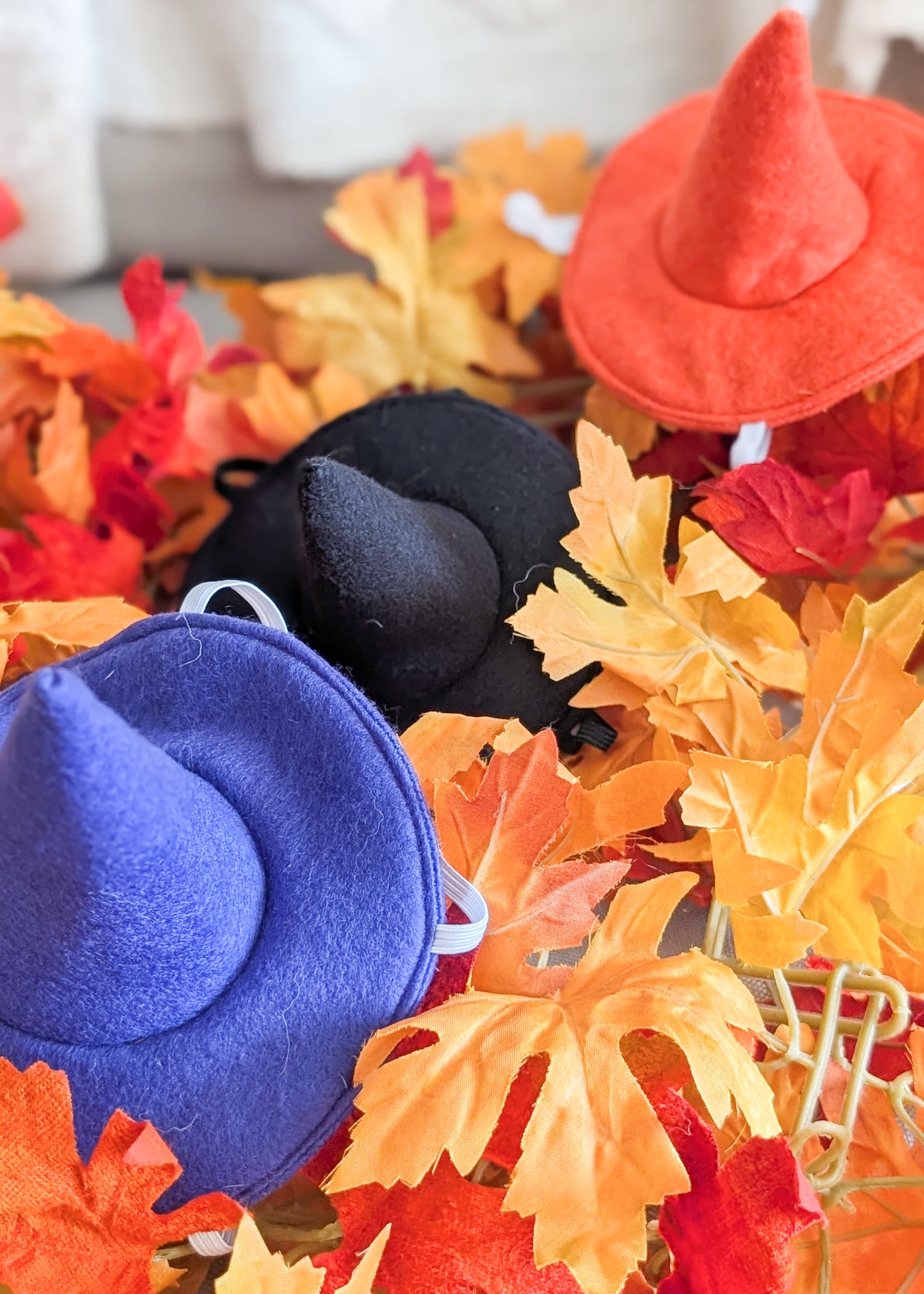 Three small felt witch hats in purple, black, and orange, nestled among autumn leaves.
