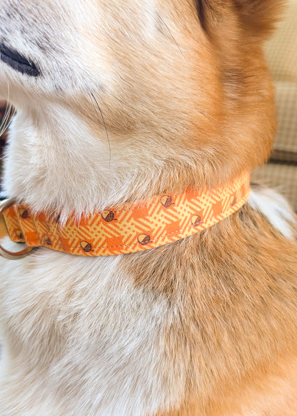 Close-up of a dog wearing an orange collar with acorn pattern.