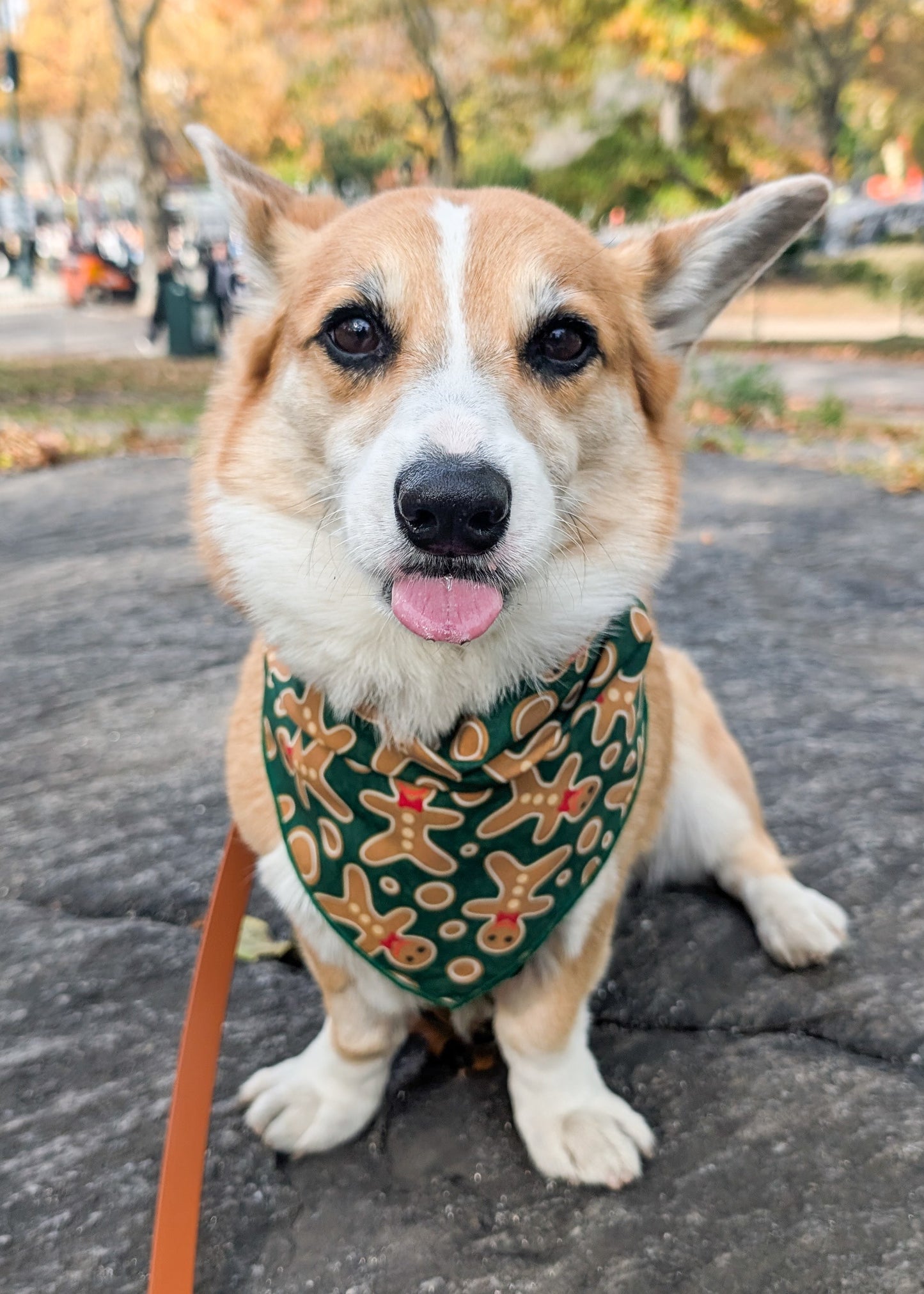 Dog wearing a green bandana with a gingerbread man pattern, standing on a stone path in a park with trees in the background.