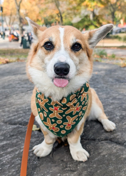 Dog wearing a green bandana with a gingerbread man pattern, standing on a stone path in a park with trees in the background.