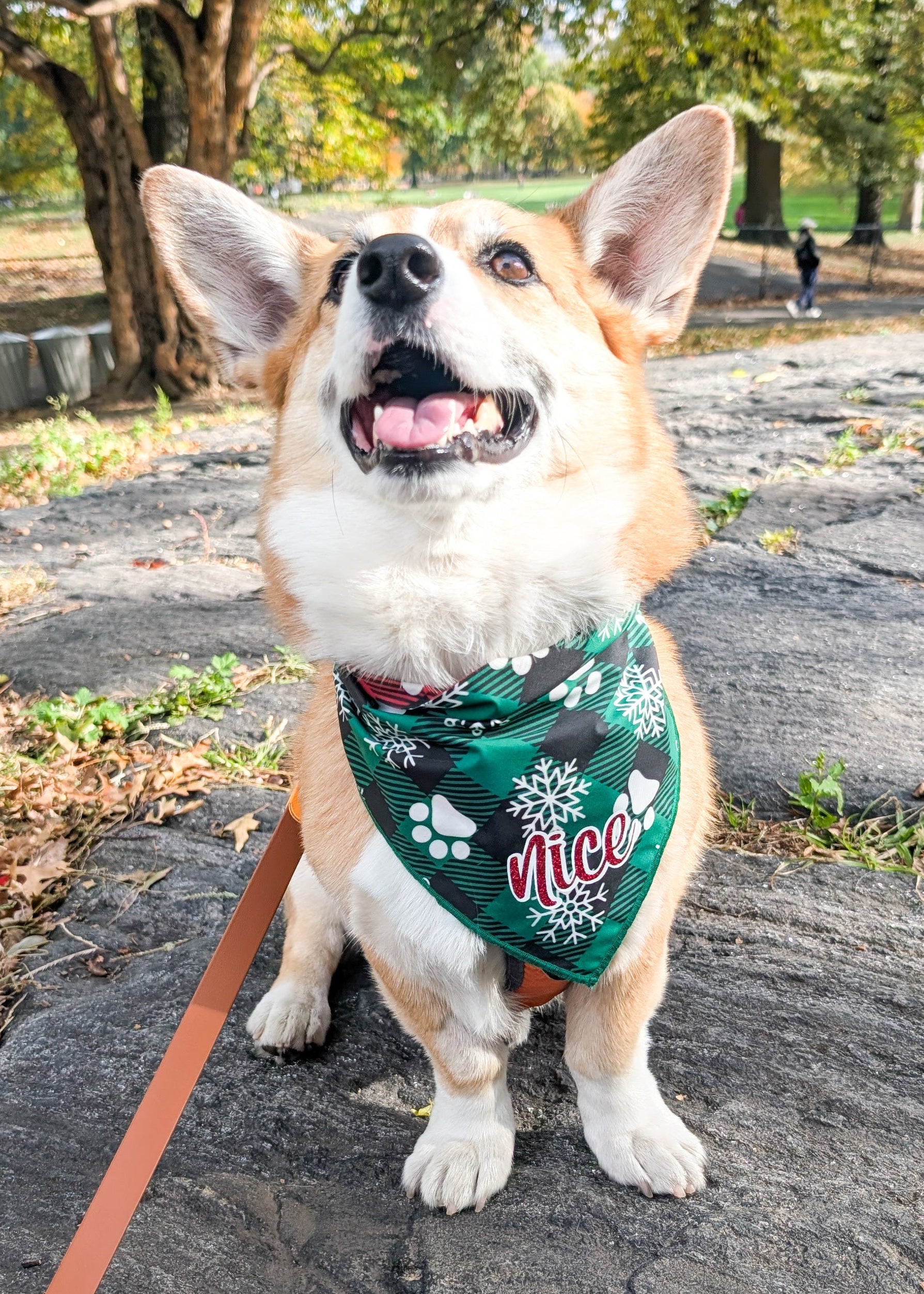 Dog wearing a Green Buffalo plaid bandana with white snowflakes and paws and "Nice" as a centered text